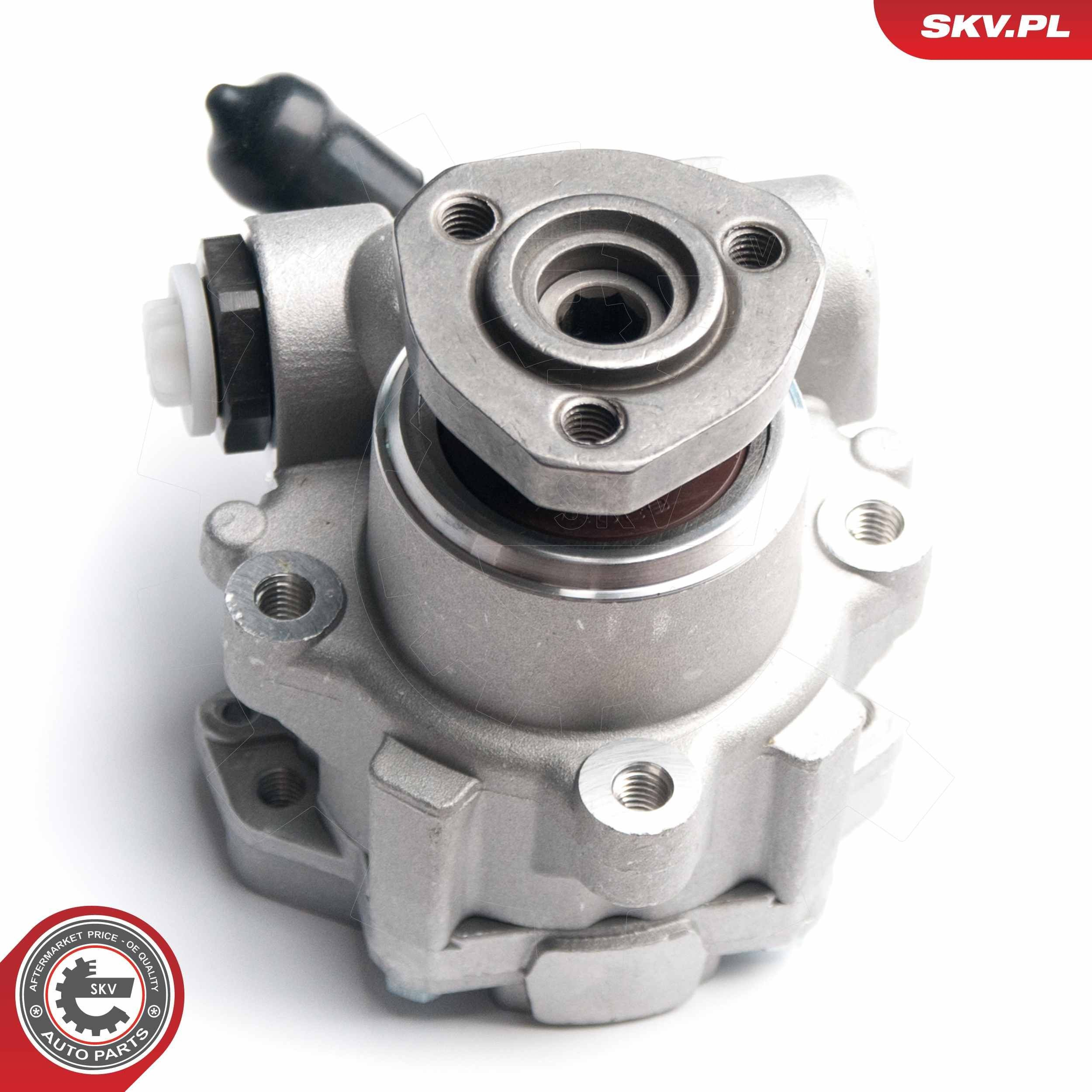 10SKV173 SKV